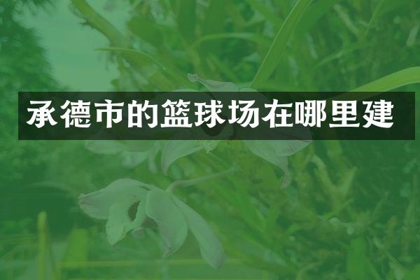 承德市的篮球场在哪里建