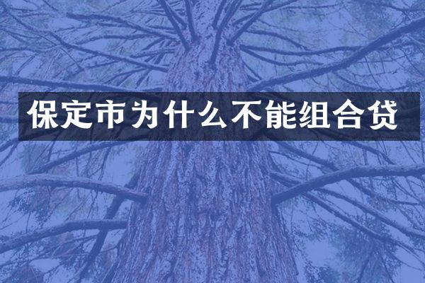 保定市为什么不能组合贷