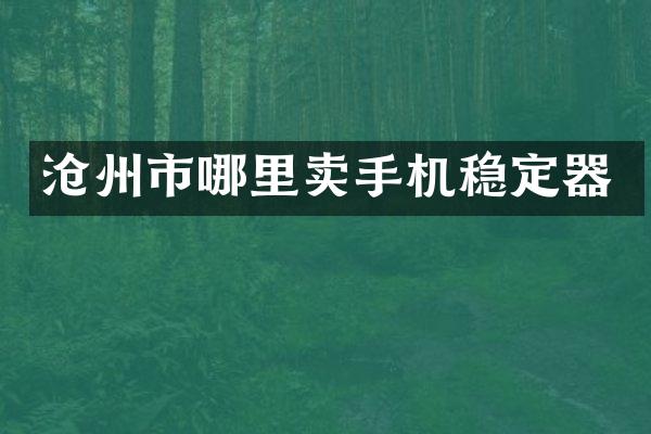 沧州市哪里卖手机稳定器