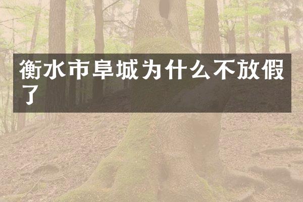 衡水市阜城为什么不放假了