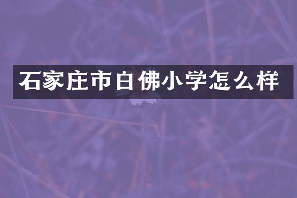 石家庄市白佛小学怎么样