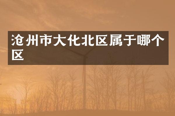沧州市大化北区属于哪个区