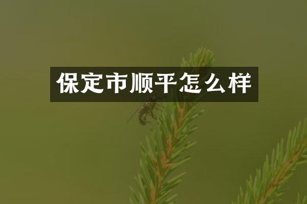 保定市顺平怎么样