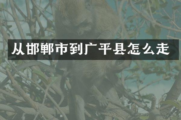 从邯郸市到广平县怎么走