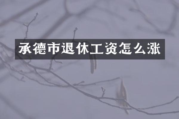承德市退休工资怎么涨