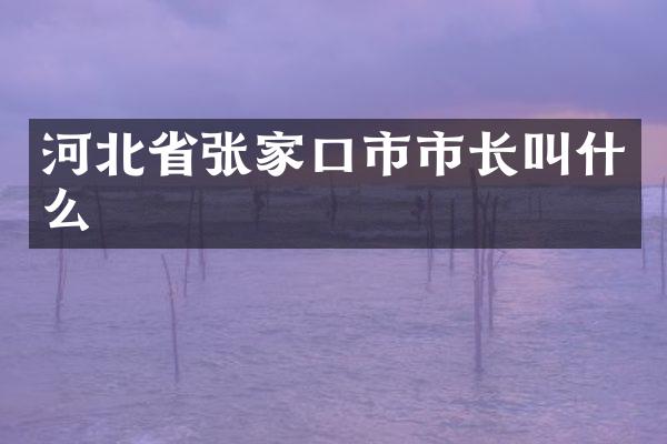 河北省张家口市市长叫什么