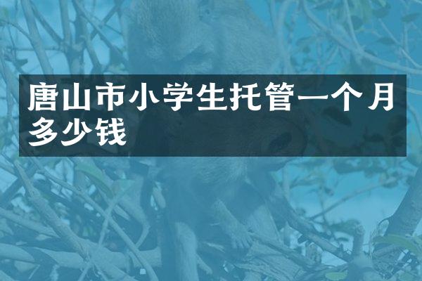 唐山市小学生托管一个月多少钱