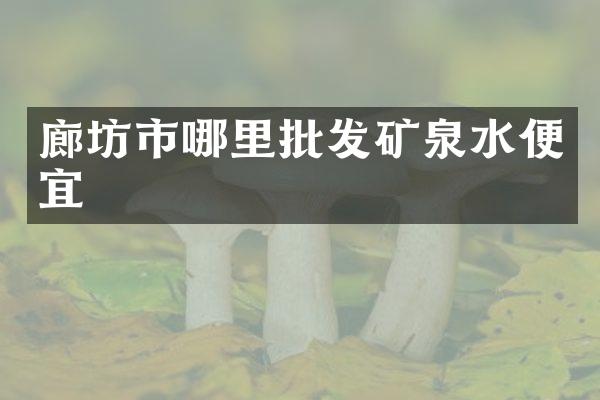 廊坊市哪里批发矿泉水便宜