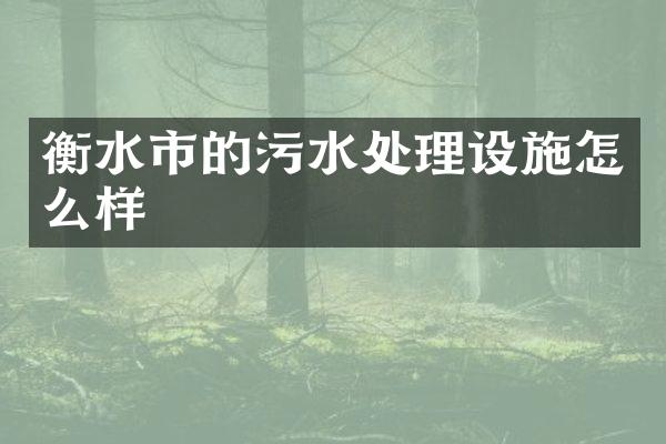 衡水市的污水处理设施怎么样