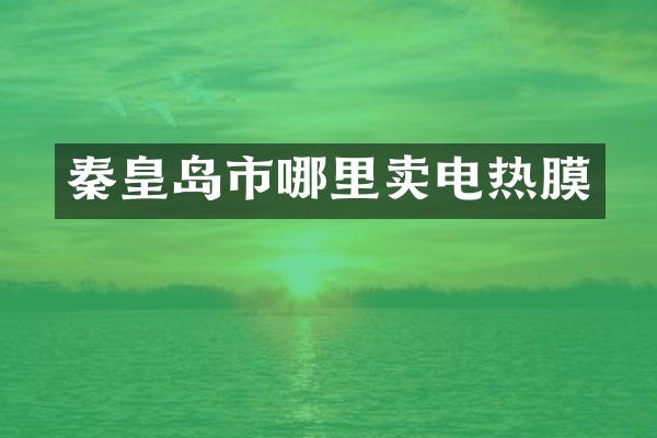 秦皇岛市哪里卖电热膜