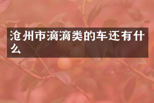 沧州市滴滴类的车还有什么