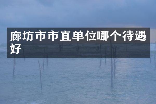 廊坊市市直单位哪个待遇好