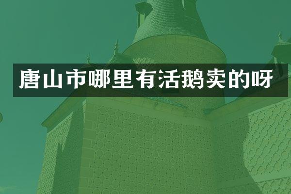 唐山市哪里有活鹅卖的呀