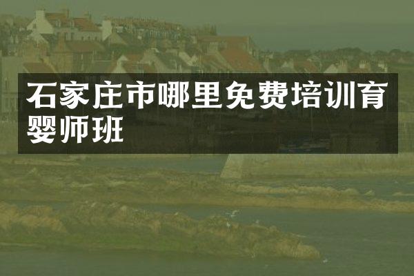 石家庄市哪里免费培训育婴师班