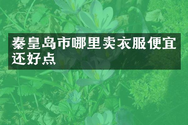 秦皇岛市哪里卖衣服便宜还好点