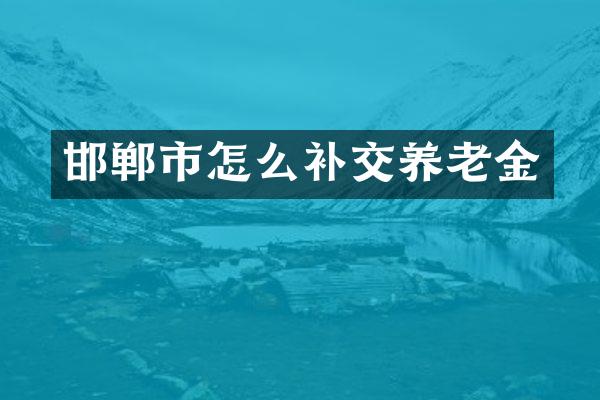 邯郸市怎么补交养老金