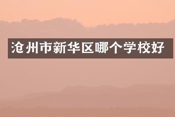 沧州市新华区哪个学校好
