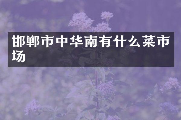 邯郸市中华南有什么菜市场