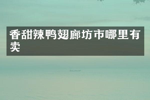 香甜辣鸭翅廊坊市哪里有卖