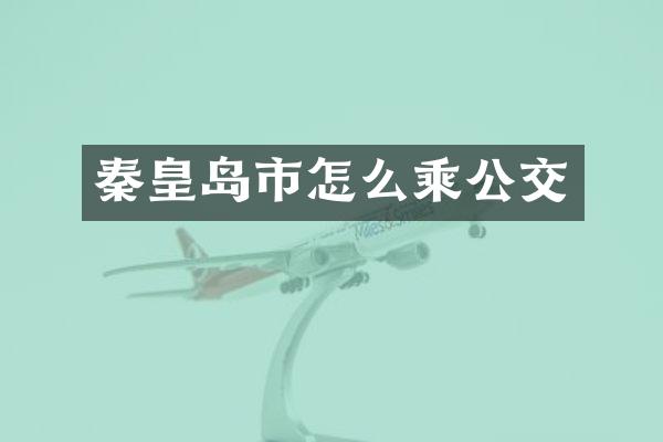 秦皇岛市怎么乘公交