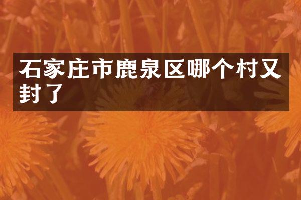 石家庄市鹿泉区哪个村又封了
