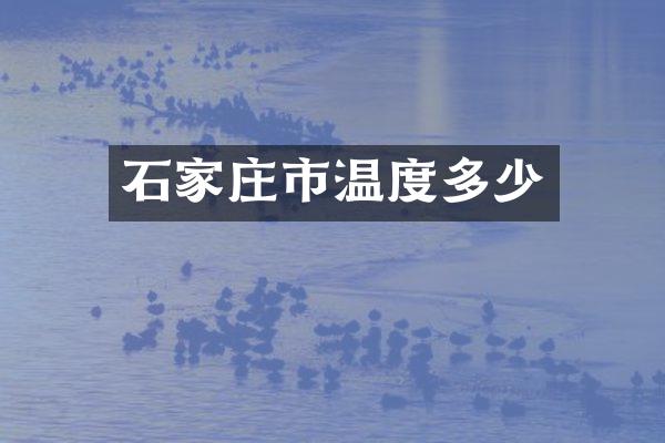 石家庄市温度多少