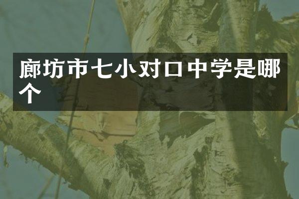廊坊市七小对口中学是哪个