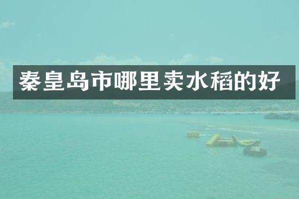 秦皇岛市哪里卖水稻的好