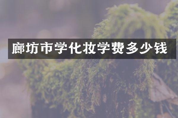 廊坊市学化妆学费多少钱
