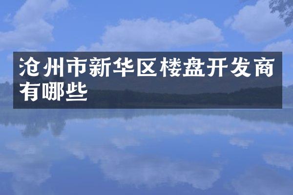 沧州市新华区楼盘开发商有哪些