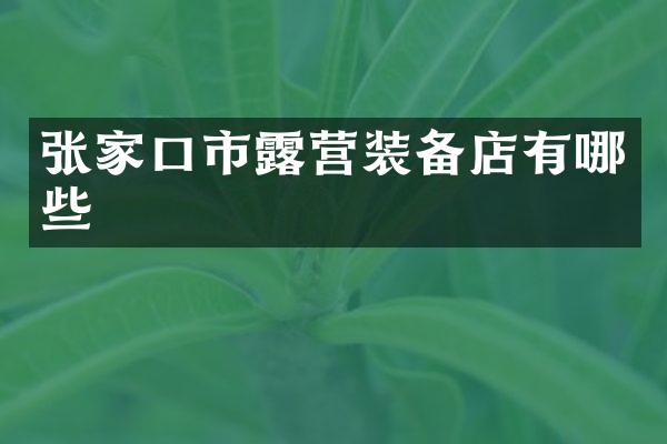 张家口市露营装备店有哪些