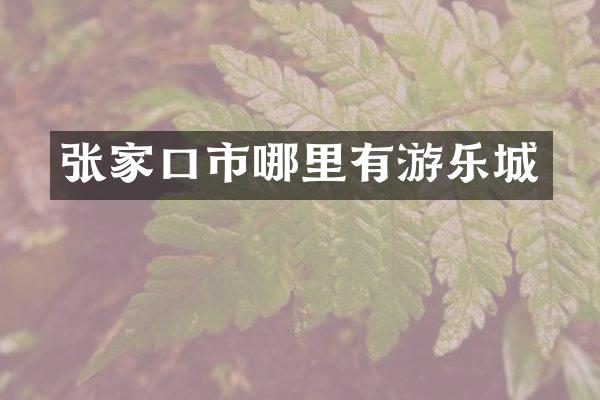 张家口市哪里有游乐城