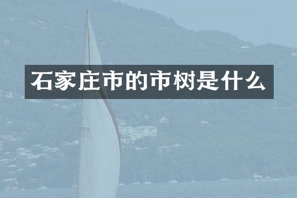 石家庄市的市树是什么