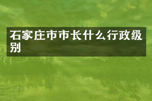 石家庄市市长什么行政级别