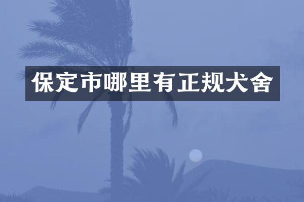 保定市哪里有正规犬舍