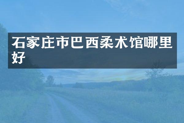 石家庄市巴西柔术馆哪里好
