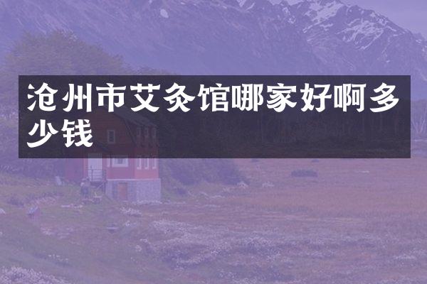 沧州市艾灸馆哪家好啊多少钱