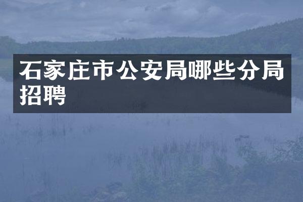 石家庄市公安局哪些分局招聘