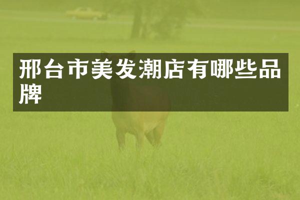 邢台市美发潮店有哪些品牌