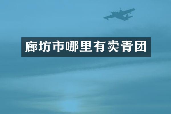 廊坊市哪里有卖青团