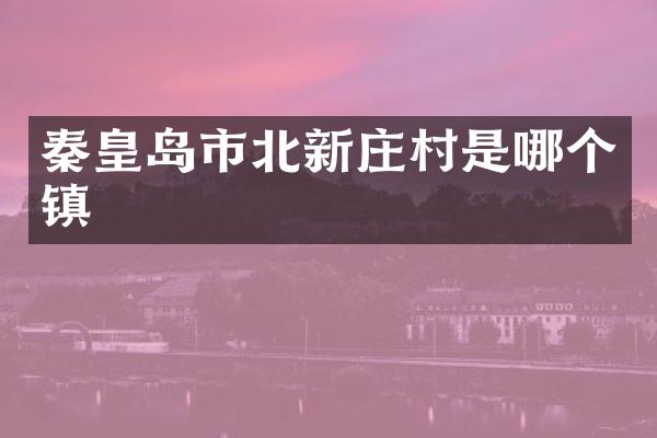 秦皇岛市北新庄村是哪个镇