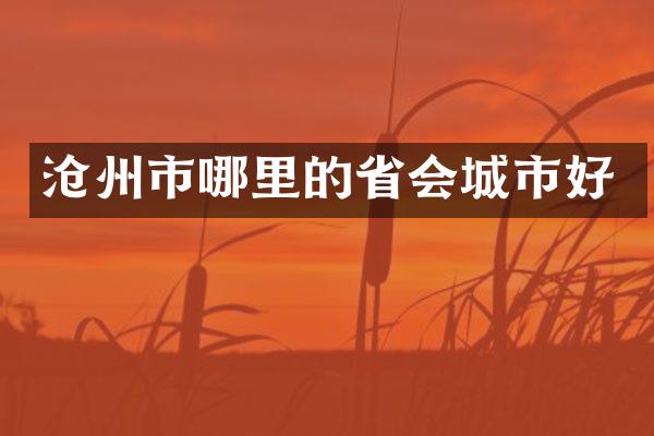 沧州市哪里的省会城市好