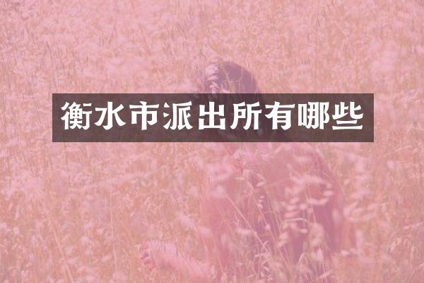 衡水市派出所有哪些