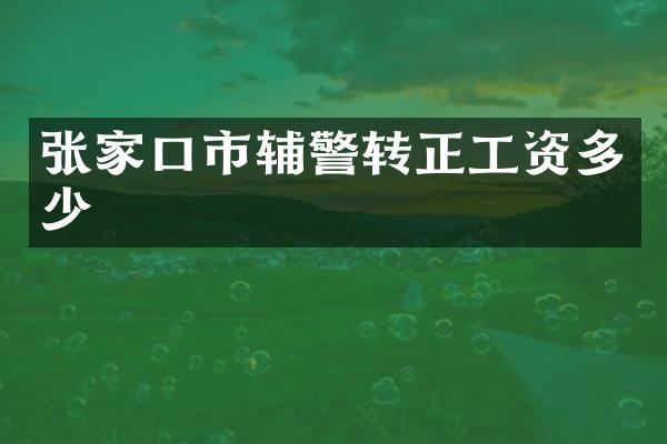 张家口市辅警转正工资多少
