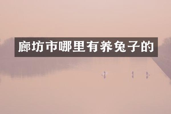 廊坊市哪里有养兔子的