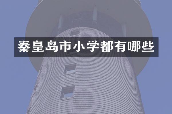 秦皇岛市小学都有哪些