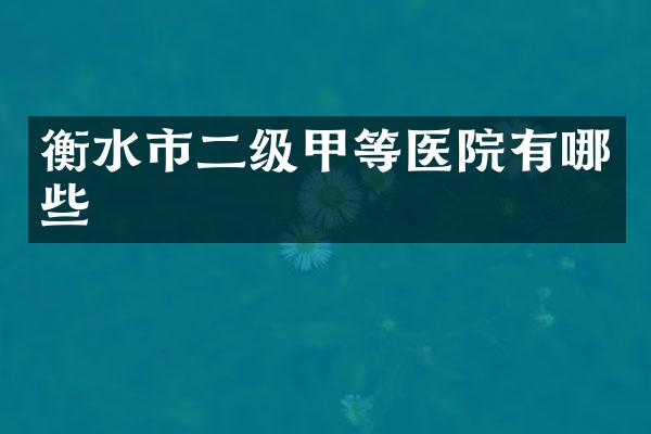 衡水市二级甲等医院有哪些