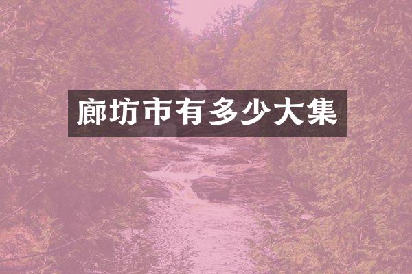 廊坊市有多少大集