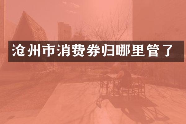沧州市消费券归哪里管了