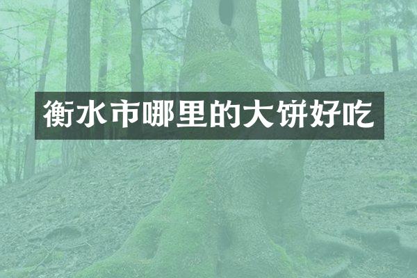 衡水市哪里的大饼好吃